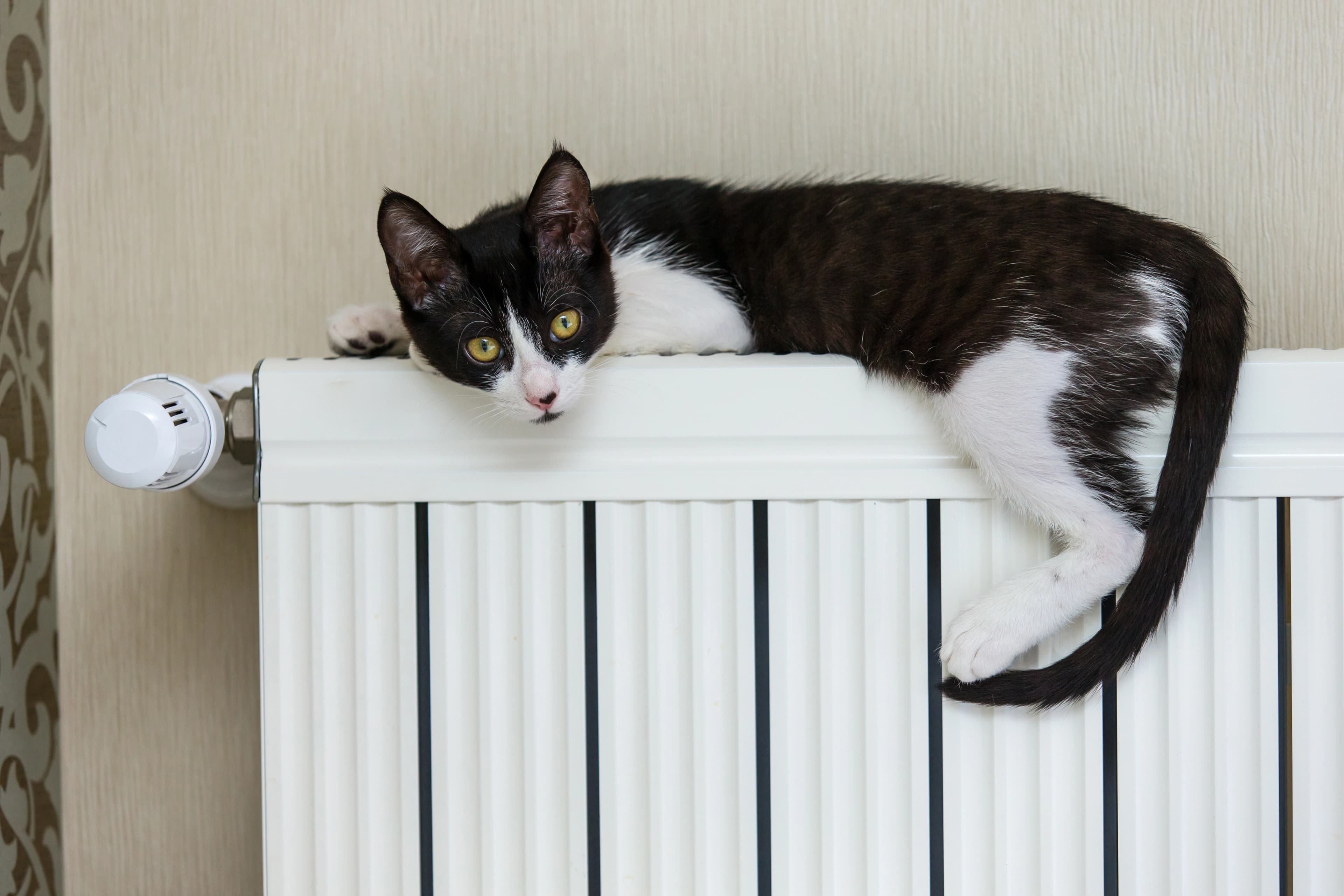 Energieverbrauch im Einfamilienhaus optimieren